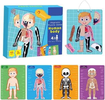 Bom preço. 48pcs Educativo Magnético Corpo Humano Jigsaw Puzzle Brinquedos Para 3 Anos de Idade Pequeno on-line